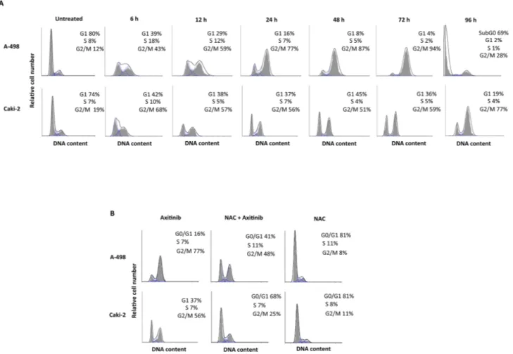 Figure 4: Axitinib induces cell cycle arrest in ROS-dependent manner.  A. Cell cycle analysis in A-498 cells treated with 