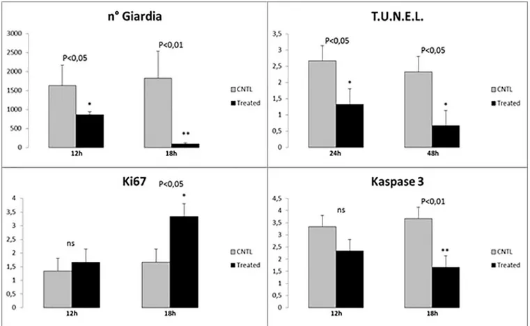 Fig 3. Statistical evaluation of different parameters in ex-vivo duodenal tissue cultures, before and after treatment