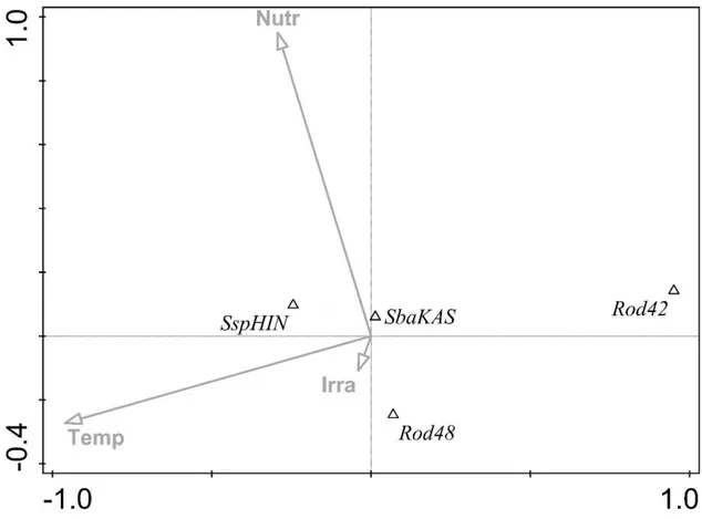 Fig. 1. Comparing of studied Stichococcus sp. strains, according to their growth requirements 