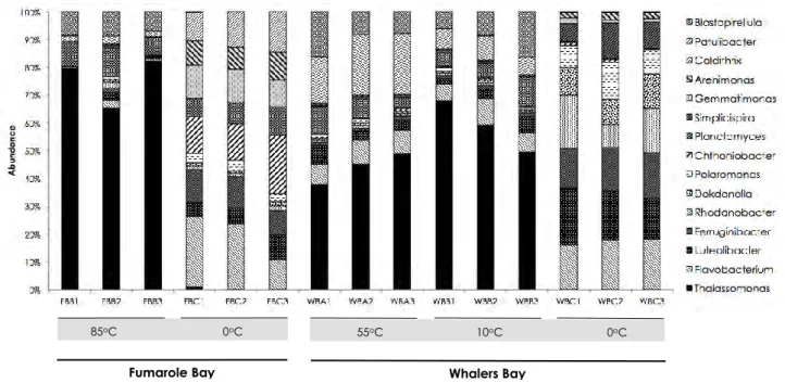 Fig.  1.  Distribution  of  the  fifteen  most  abundant  bacterial  genera  across  temperature  gradient  on  geothermal  fields  of 