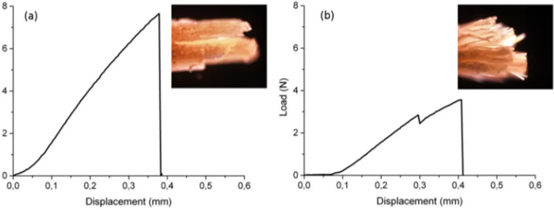 Figure 3 reports two examples of the typical load vs. displacement curves obtained in this work