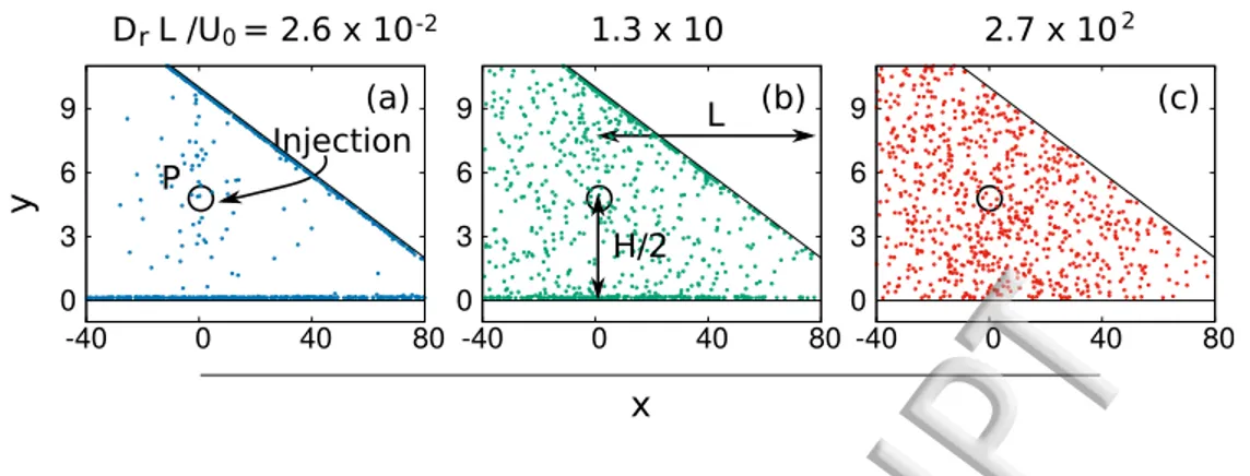 FIG. 2. Three snapshots of particle configurations, upon re-injection at the site (0, H/2), showing a different degree of particle accumulation to the walls, in the absence of field  = 0