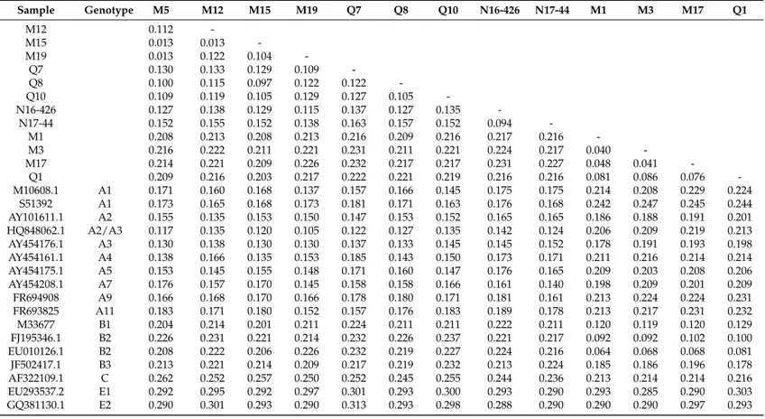 Table 2. Pairwise nucleotidic genetic distances (p-distance model) of the partial gag-pol region of some SRLV reference strains and SRLV strains sequenced in this study