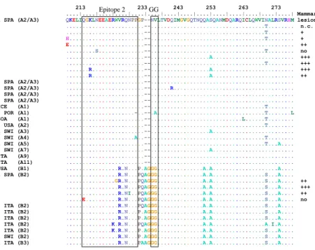 Figure 4. Cont .