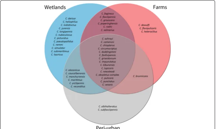 Fig. 2 Venn diagram of habitats. Diagram shows the absolute presence of midge species found in farm (red), peri-urban (grey) and wetland (blue) habitats