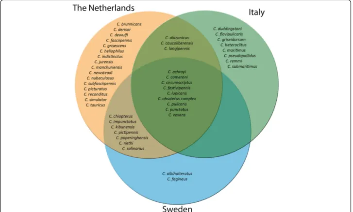 Fig. 3 Venn diagram of countries. Diagram shows the absolute presence of midge species found in Sweden (blue), the Netherlands (orange) and Italy (green)