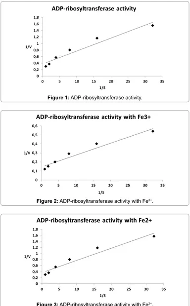 Figure 1: ADP-ribosyltransferase activity.
