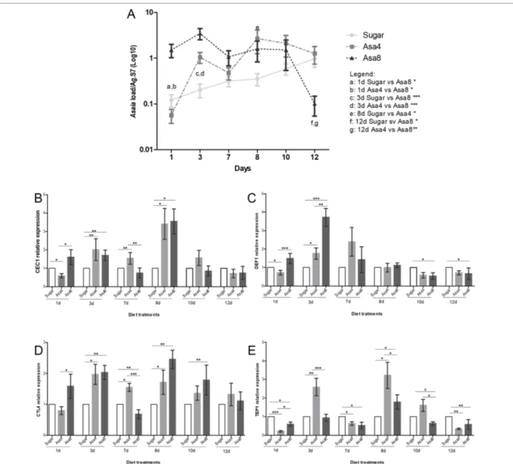 FIGURE 3 | Gene expression and Asaia load in An. gambiae. Evaluation of Asaia load (A) at different time points and CEC1 (B), DEF1 (C), CTL4 (D), and TEP1 (E)  genes expression