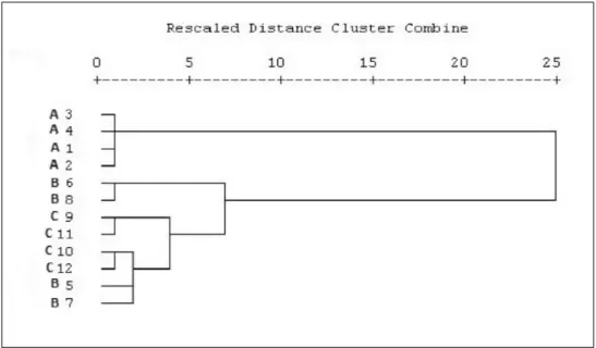 Fig. 1.  Dendrogram of Tuber spp. hexane extract with fatty acids contents.  A1-A4: Tuber aestivum, B5-B8: T