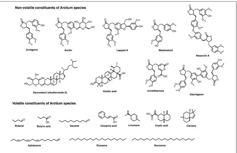 FIGURE 2 | Chemical structures of several relevant components present in Arctium species.