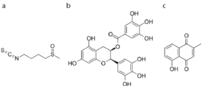 Figure 1. Chemical structures of the natural compounds used in this study. (a) Sulforaphane (SF), (b) 