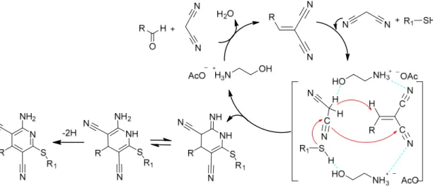 Figure 6. Reaction mechanism hypothesized for the mutual activation of the substrates and the ionic  liquid