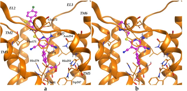 Figure 7. Putative binding mode of non-nucleoside agonists at the ARs. Panels a–b describe the  potential binding mode of Capadenoson (1) and LUF5834 (13), respectively, at the A 1 AR