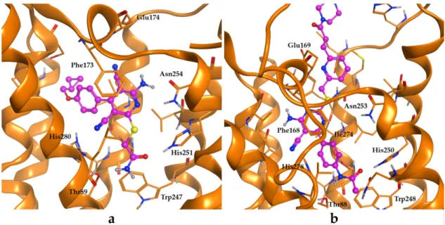 Figure 8. Putative binding mode of non-nucleoside agonists at the ARs. Panels a–b describe the  potential alternative binding mode of non-nucleoside agonists at the A 2B AR (BAY 60–6583, 25) and at  the A 2A AR (33), respectively