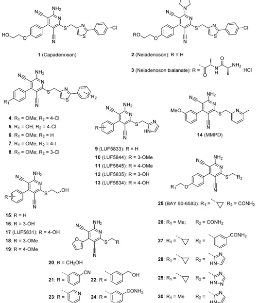 Figure 1. Selected pyridine-based non-nucleoside agonists of the adenosine receptors. 