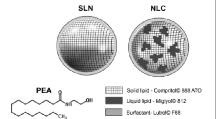 FIGURE 1 | Structure of PEA (palmitoylethanolamide) and lipid nanoparticles (NPs). 1 st generation of lipid NPs (SLN, solid lipid nanoparticles) and 2 nd