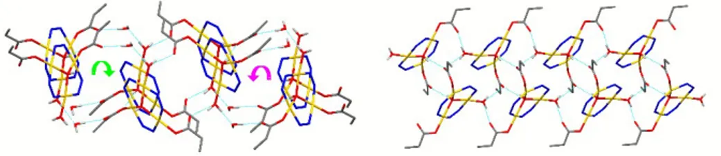 Figure	
  16	
  –	
  Supramolecular	
  assemblies	
  of	
  52	
  (left)	
  and	
  53	
  (right).	
  Pyrazolate	
  carbon	
  atoms	
  and	
  carbon	
  