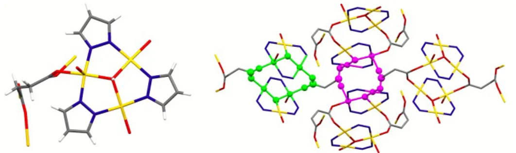 Figure	
   22	
   –	
   Molecular	
   structure	
   of	
   75	
   (left).	
   On	
   the	
   right	
   the	
   succinate	
   chain	
   joins	
   two	
   different	
   12-­‐