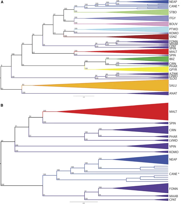 Figure 7 SNP-based neighbor-joining cladograms for (A) Mediterranean and (B) Italian breeds