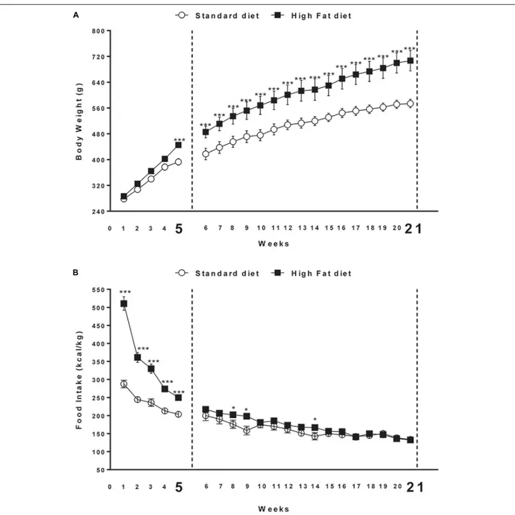 FIGURE 1 | (A) Body weight and (B) cumulative food intake (kcal) measured weekly in rats exposed for 5 and 21 weeks to high fat (HFD) or standard diet (STD)
