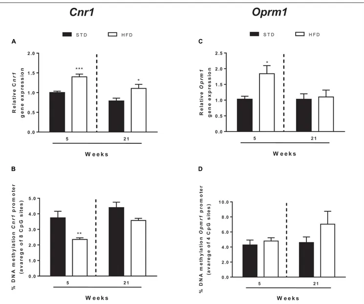 FIGURE 3 | Cnr1 and Oprm1 transcriptional regulation. Cnr1 relative gene expression (A) and DNA methylation at gene promoter (B) and Oprm1 relative gene expression (C), and DNA methylation at gene promoter (D) analyzed in the hypothalamus of rats exposed f