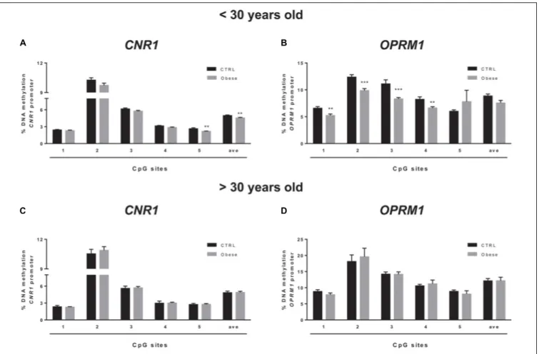 FIGURE 5 | Comparison of DNA methylation status at human CNR1 (A,C) and OPRM1 (B,D) promoters in the obese population and control (CTRL) subjects stratified based on age (A,B = &lt; 30 years old; C,D &gt; 30 years old)