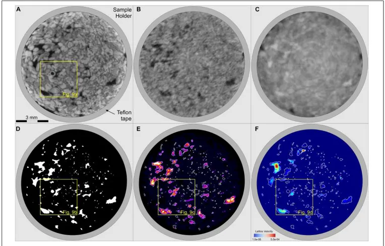 FIGURE 7 | Comparison of resulting images near the middle of the sample. (A) XCT at dry conditions, (B) NCT at dry conditions, (C) NCT at wet conditions, (D) segmented pores from XCT, (E) Difference of NCT wet-dry images using as mask the segmented macropo