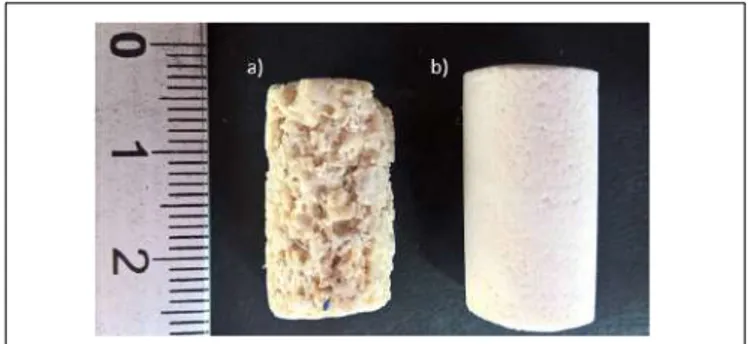 FIGURE 1 | Studied samples are made of carbonate grainstones. (a) Favignana grainstones (b) Orfento Grainstones, characterized by different texture and permeability (Table 1)