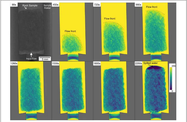 FIGURE 3 | Time lapsed neutron radiographs showing the flow of deionized water for the sample corresponding to a Favignana grainstone