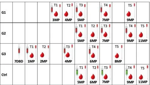 Figure  1.  Experimental  design—schematic  representation  of  experimental  layout.  Red  syringe  =  vaccine; green syringe = placebo;  red drop = blood  sample; swab = nasal  swab; DBD = days  before  delivery; MP = month of pregnancy