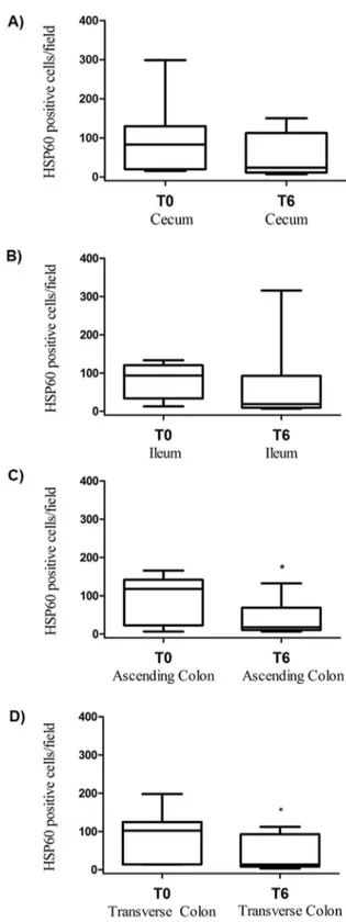 Figure 8. Gut HSP60 expression and TEM evaluation of ileum epithelium before (T0) and after 6 months (T6) of probiotic supplementation
