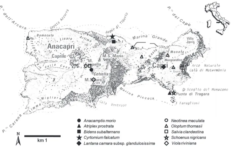 Fig. 1 - Localizzazione cartografica delle specie rinvenute a Capri.