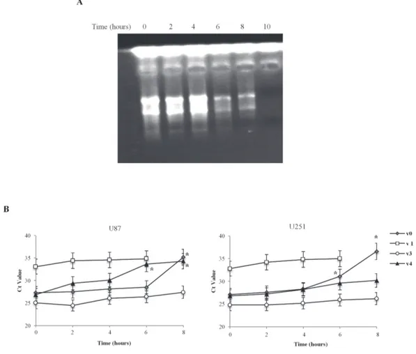 Figure 2: Time-dependent TRPV1 5’UTR variant transcripts stability in U87 and U251 cell lines