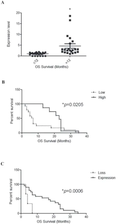 Figure 4: TRPV1 v3  mRNA expression correlates with survival.  A. Distribution of TRPV1 v3  mRNA expression in short survival 