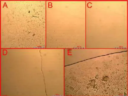 Table 3.  Viscosity (Pa*s), power law index value (n) and size (r. nm) for the optimized microemulsion (sample 18) and the same  microemulsion  loaded  with  2  mg/mL  of  BSA,  calculated  after  preparation  and  after  storage  at  25°C  and  4°C  for  