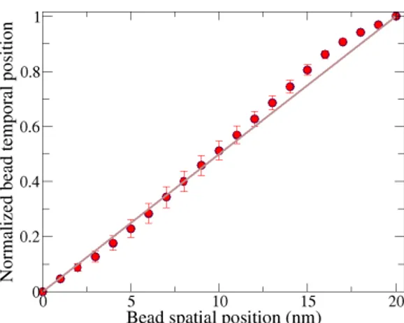 FIG. 9: The relation between the spatial and temporal position of the polymer beads is shown