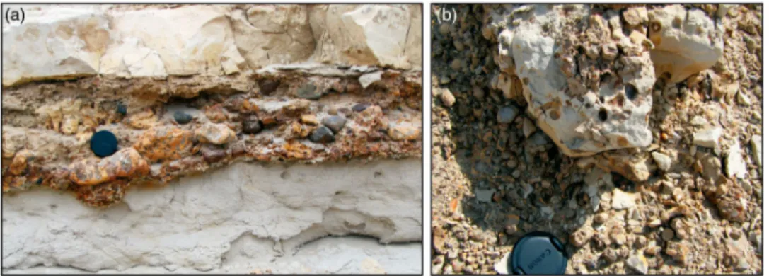 Figure 6. Details of the intraformational unconformity. A lens cap (6.5 cm in diameter) is used for scale
