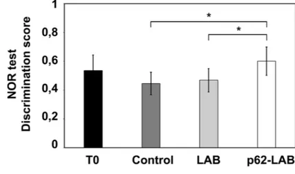Figure 1. Novel Object Recognition (NOR) test.  The effect of p62-LAB treatment on mice memory performance was assessed by the  NOR test