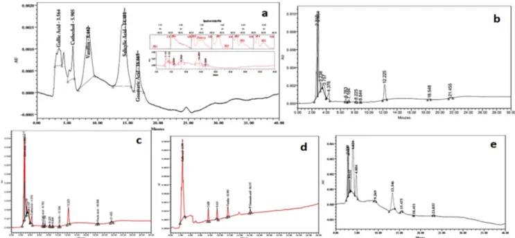 Fig. 1. RP-HPLC chromatograms of leaf and stem extracts of IVP and IRP of C. thwaitesii