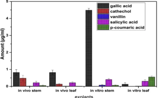 Fig. 2. The quantified content of phenolics detected in the in vivo and in vitro samples.