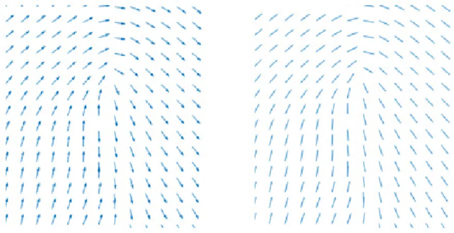 Figure 1 – Comparison between a vector field on the left and an orientation on the right