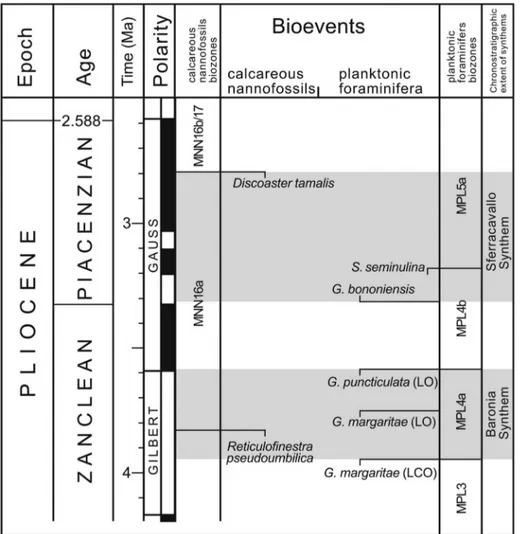 Figure 2. Estimated bio-chronostratigraphic extent of the Baronia and Sferracavallo Synthems of the Ariano Basin