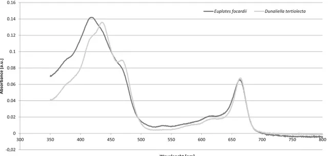 Fig. 5 Relatively normalized absorption spectra of Euplotes focardii and Dunaliella tertiolecta extracts