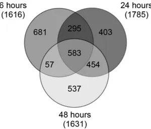 Figure 1.  Venn diagram. Differentially expressed genes found in Anopheles stephensi in at least one time-point 