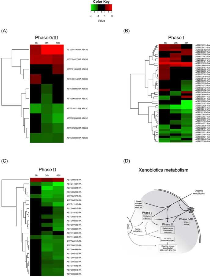 Figure 4.  Differentially expressed genes in mosquito larvae exposed to permethrin at six, 24 and 48 h