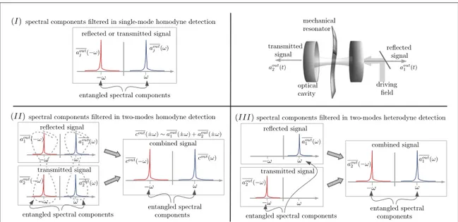 Figure 4. Spectral components at the output of an optomechanical system that are probed with three different detection strategies and that are entangled, and squeezed, as a result of the optomechanical interaction.