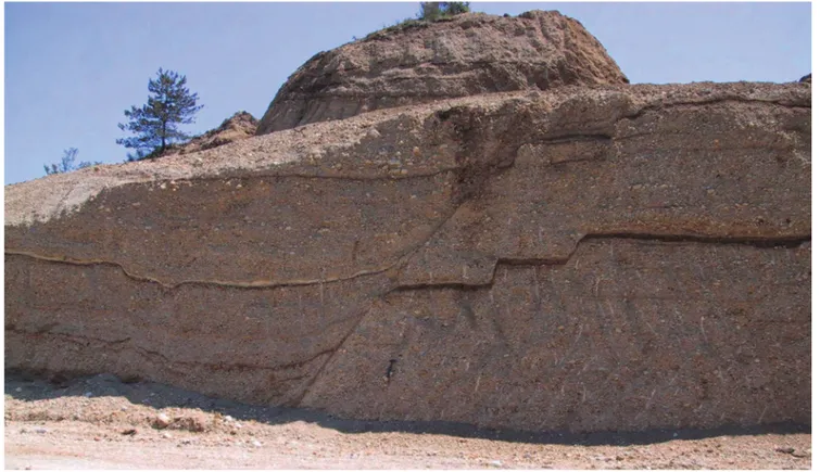 Fig. 3  -  Upper Pleistocene continental deposits offset by NE-SW trending SFS Fault System near San Vittorino (see Fig