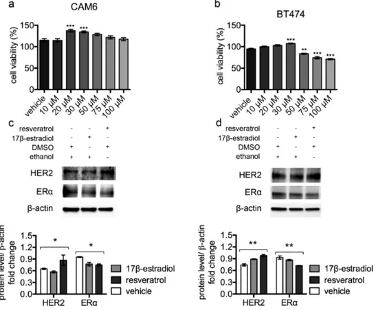 Figure  3.  Resveratrol  triggers  HER2  over‐expression  and  ERα  down‐regulation  in  luminal  B  breast  cancer  cell lines.  (a)  CAM6  and  (b)  BT474  cells  were  incubated  for  24 hours  in  the  presence  of  vehicle  or  increasing  concentrati