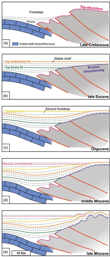Fig. 9. (Colour online) Cartoon showing the two-dimensional tectonic evolution of the study area