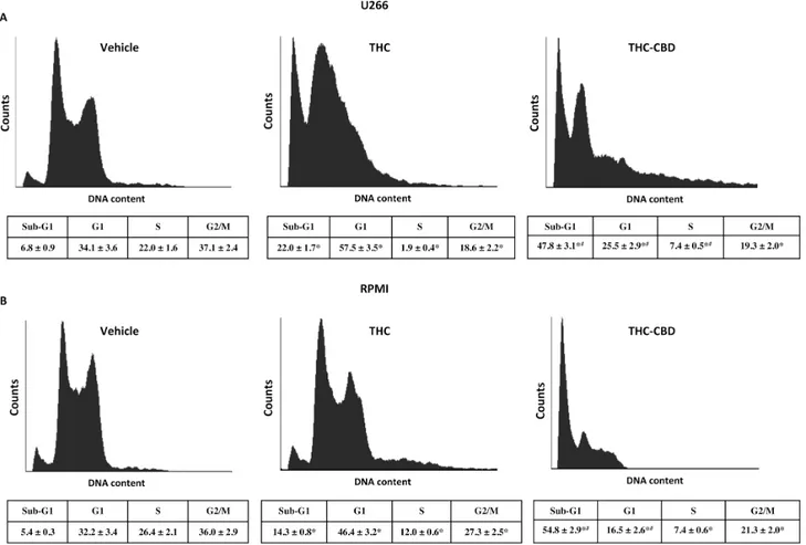 Figure 3: THC alone and THC-CBD combination increase the sub-G1 phase in U266 and RPMI cell lines